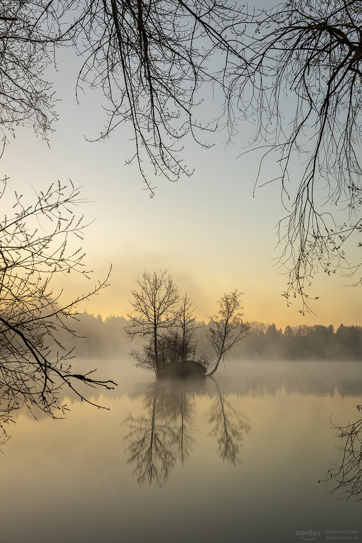 Island in the fog