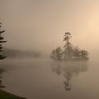 Island in the Fog