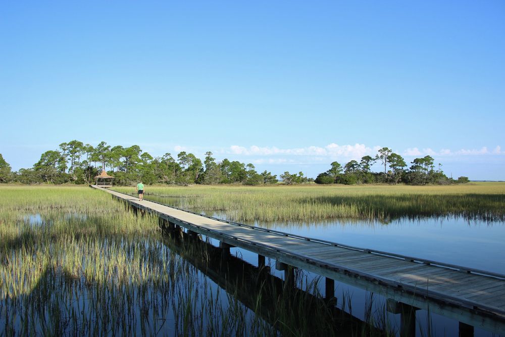 Island in the sun Foto & Bild north america, united states, southern