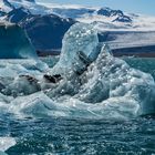 Island-Jökulsarlo Glacier Lagoon-Juni 2022-04