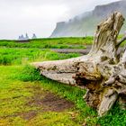 Island - Küstenabschnitt bei Vik