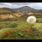 Island, Landmannalaugar