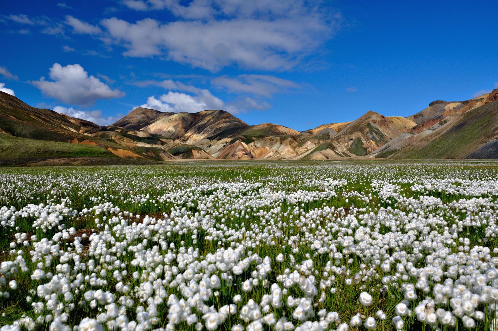 Island - Landmannalaugar