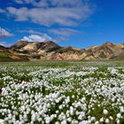 Island - Landmannalaugar