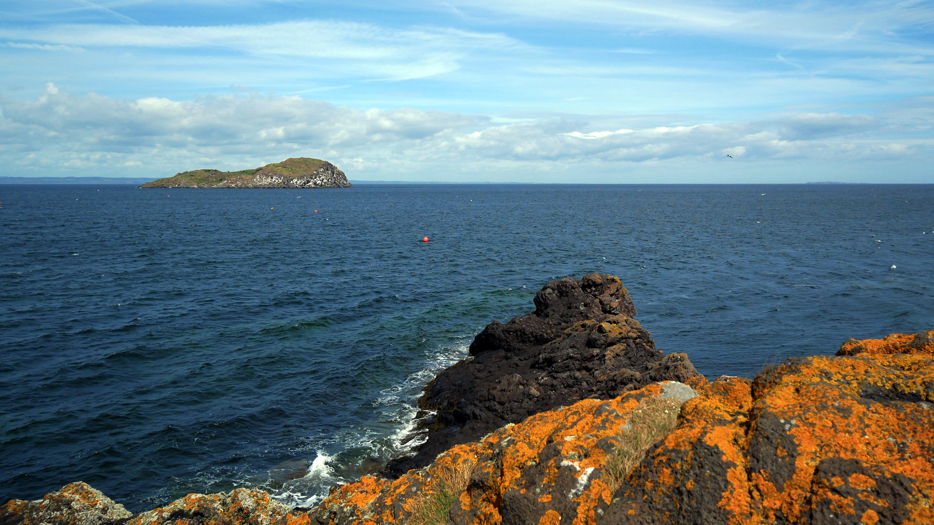 Island of Craigleith