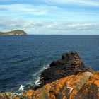 Island of Craigleith