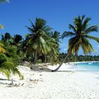 Island of Saona