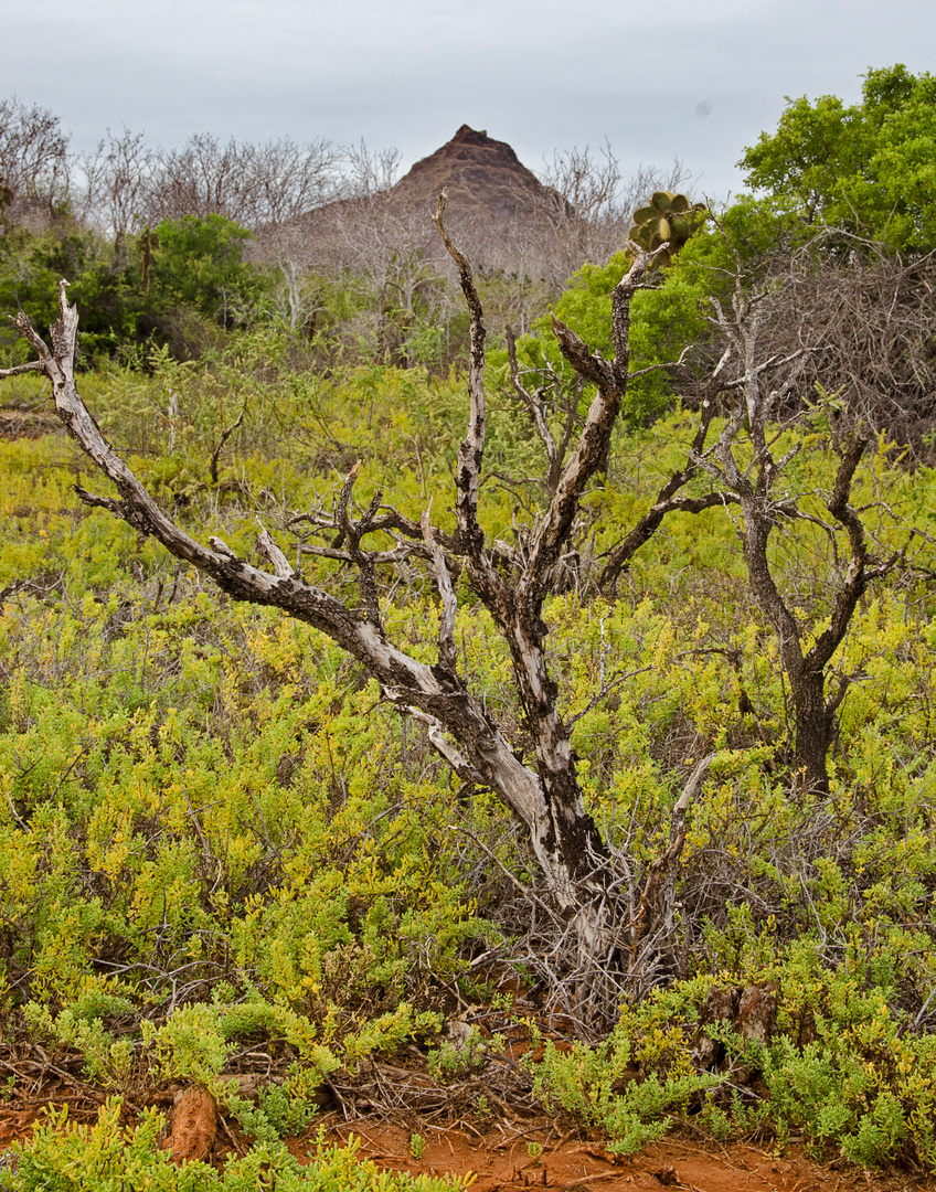 Island Peak