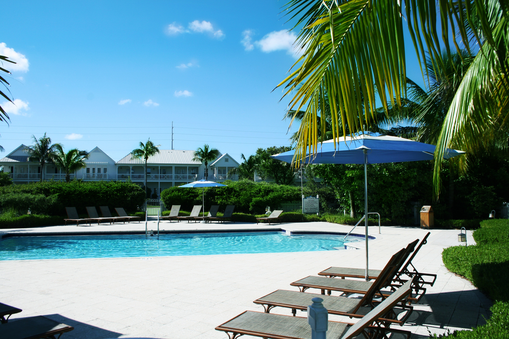 Island Pool