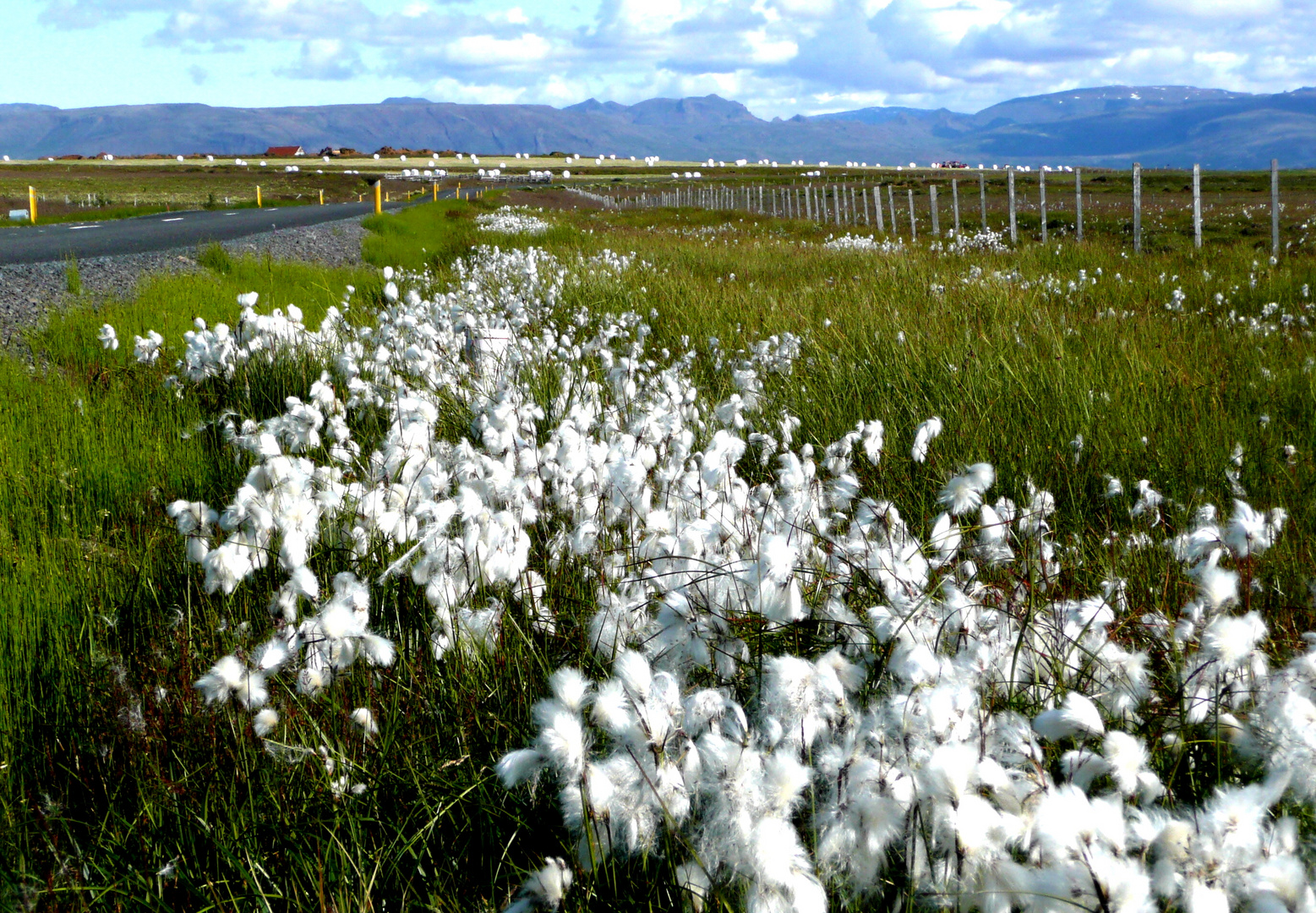 Island pur bei Skálholt