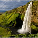 Island - Seljalandfoss