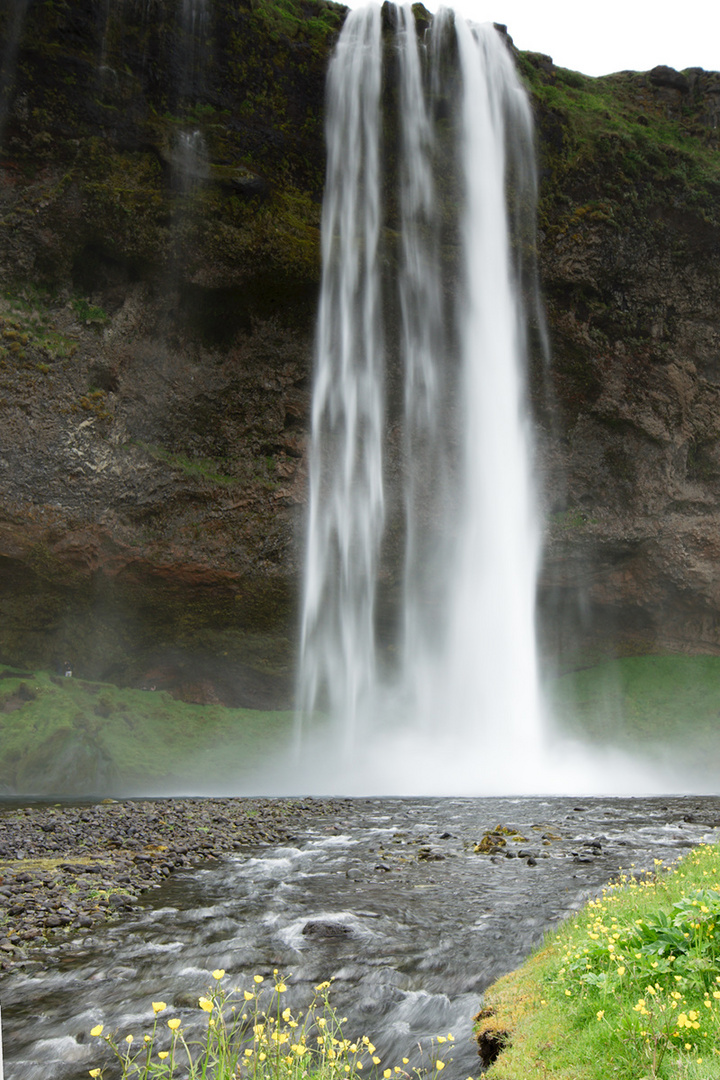 Island | Seljandsfoss