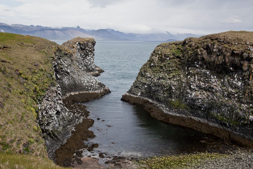 Island - Snaefellsjökull vom Arnarstapi Bild 3