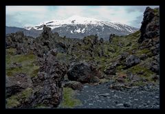 Island - Snaefellsjökull vom Djùpalònssandu - Bild 2