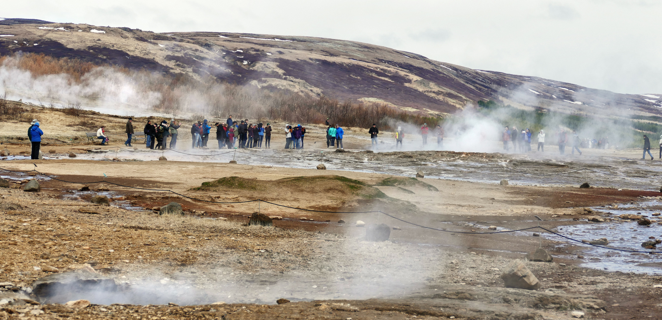 Island - Strokkur - gleich blubbert er wieder