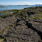 Island-Thingvellir-Juni 2022