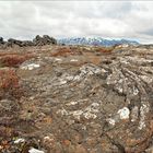 ISLAND. Tingvellir 2.