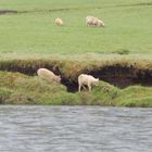 Island - Unterstellmöglichkeit gesucht