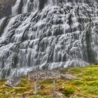Island - Wasserfall Dynjandi