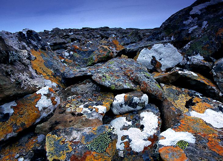 Island Westfjorde 006