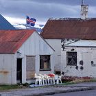 Island Westfjorde 009