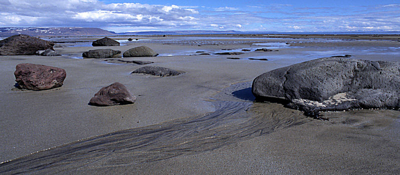 Island Westfjorde 011