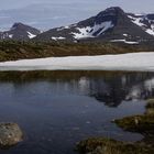 Island Westfjorde 1