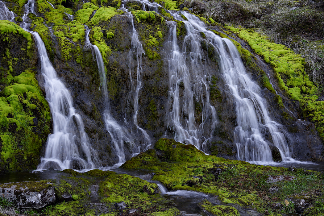 Island Westfjorde 2015.5