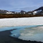 Island Westfjorde 2016-2