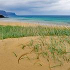 Island Westfjorde 2017-16 