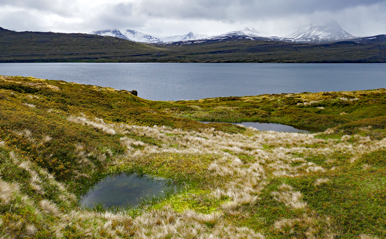 Island Westfjorde 2017-2