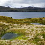 Island Westfjorde 2017-2