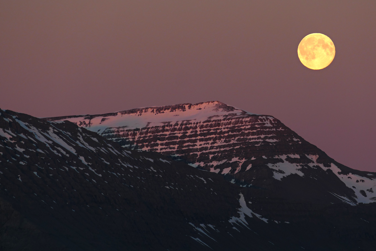 Island Westfjorde 2017-3 