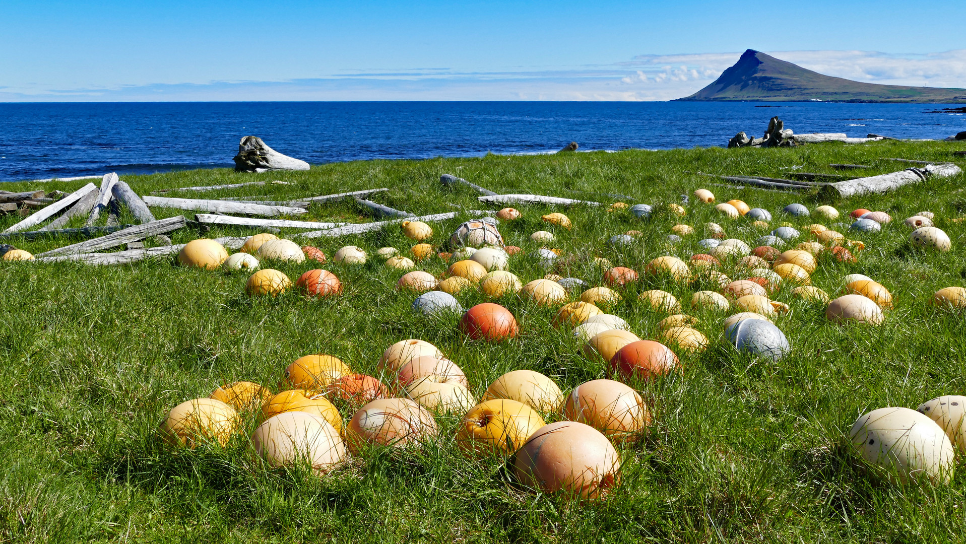 Island Westfjorde 2017-6 