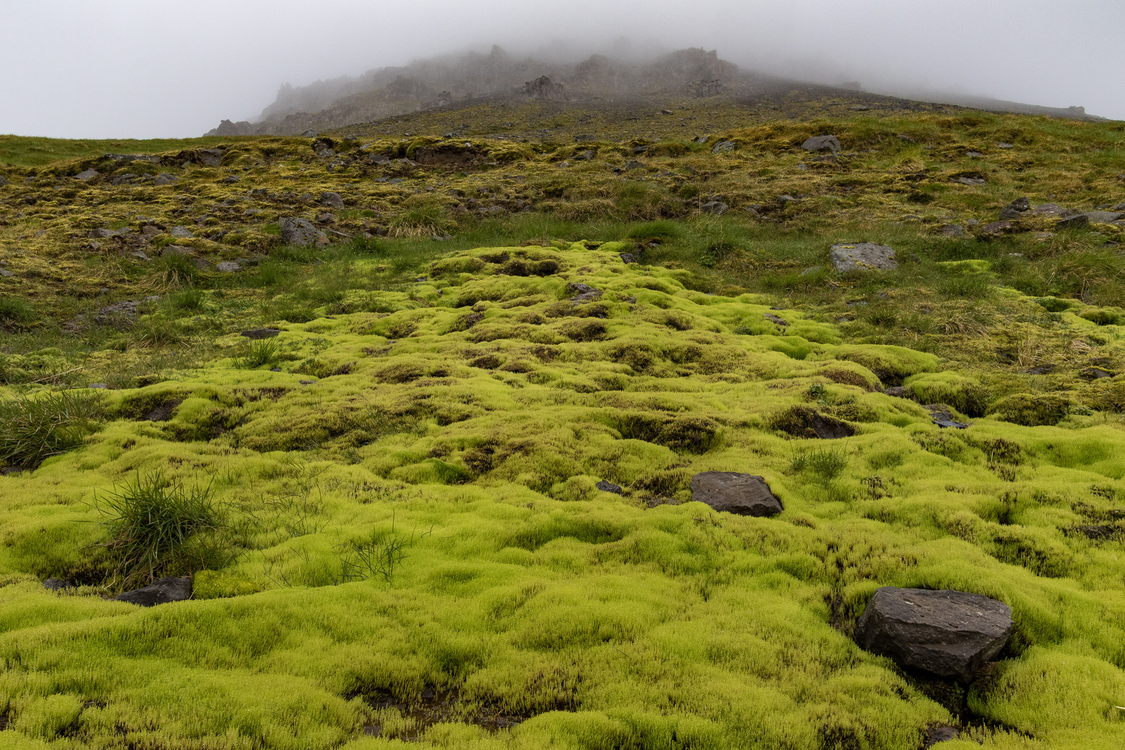 Island Westfjorde 2017