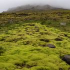 Island Westfjorde 2017