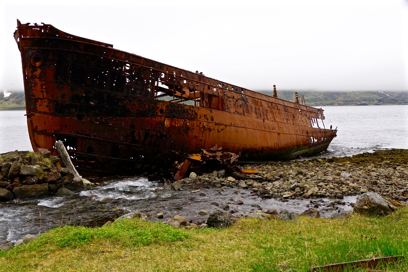 Island Westfjorde 9