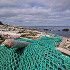 Island Westfjorde – Strandgut A