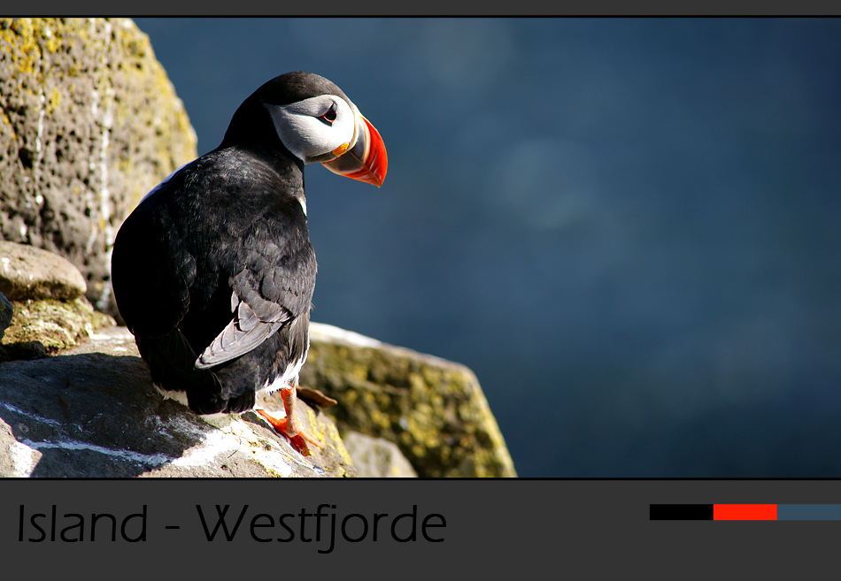 Island Westfjorde – und ohne dem „Lundi“ Klassiker geht’s eben nicht….