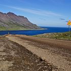 Island Westfjorde16