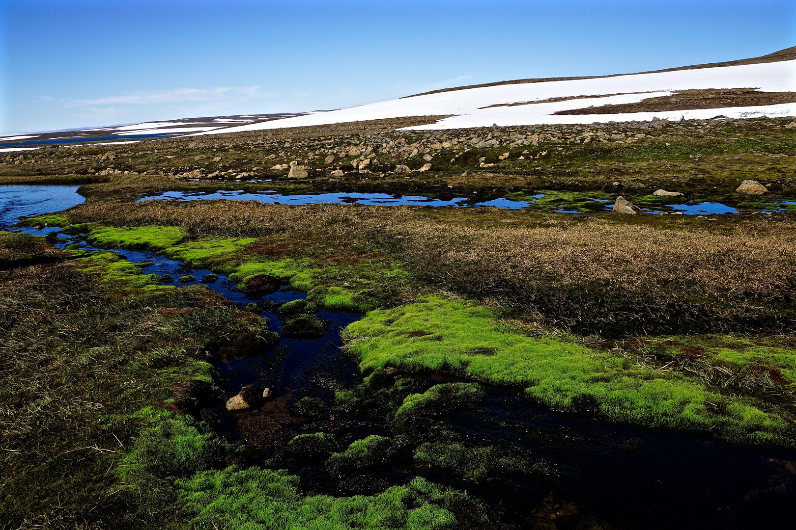 Island Westfjorde18