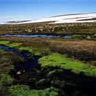 Island Westfjorde18