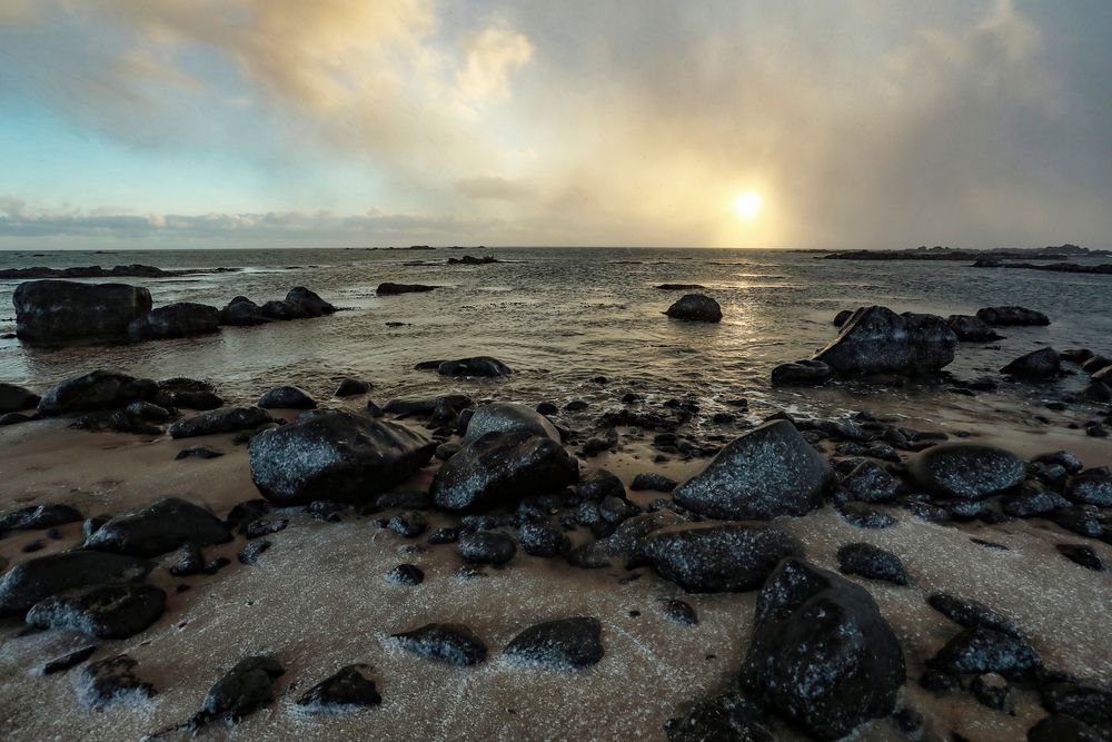Islanda 2024 - basalto e dintorni (3)