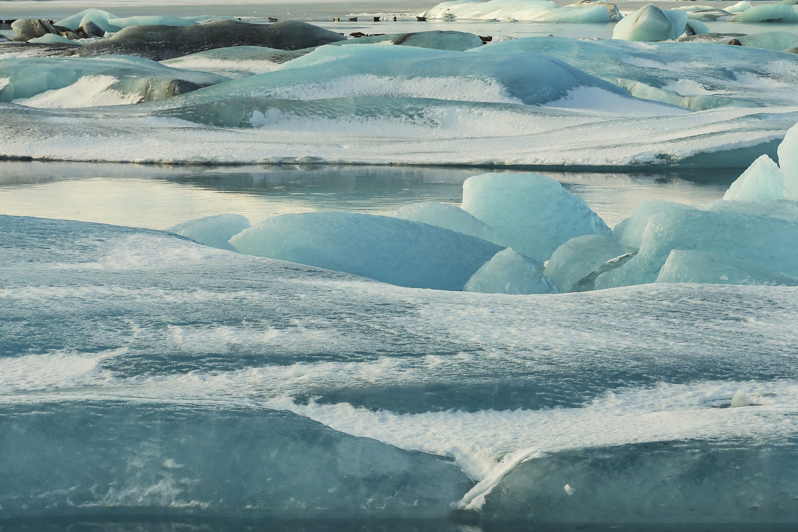 Islanda 2024 - Ice Art (5) - con otarie in fondo in fondo...