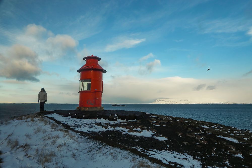 Islanda 2024 - il faro di Stykkisholmur (con intruso)