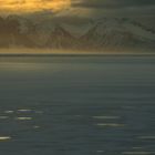 Islanda 2024 - nei dintorni del  Vestrahorn