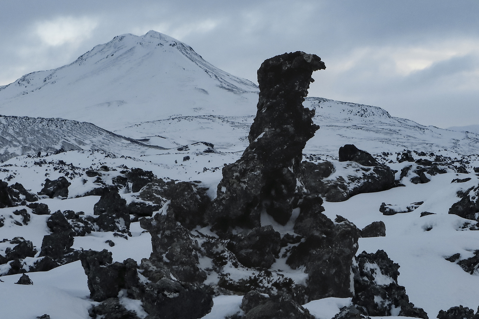 Islanda 2024 - sculture di basalto - Godzilla?