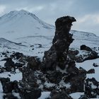 Islanda 2024 - sculture di basalto - Godzilla?
