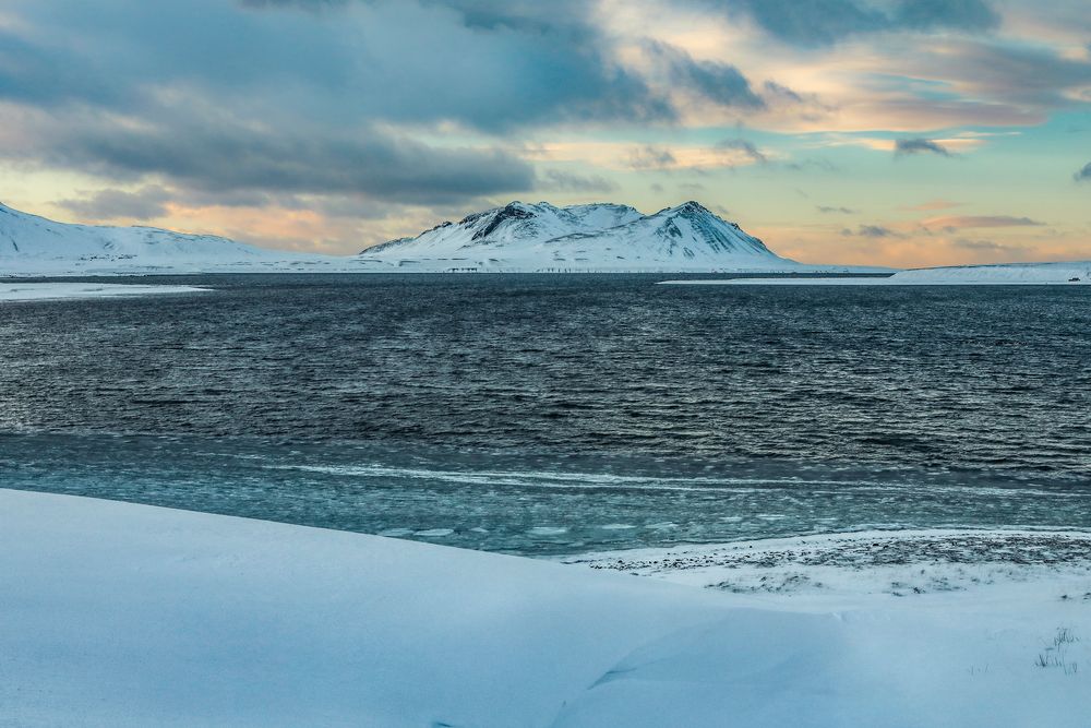 Islanda 2024 - Seljafjordur (2)