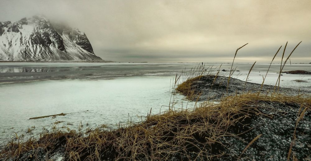 Islanda 2024 - Vestrahorn (15)